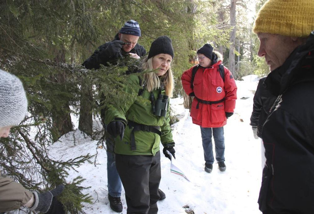 Martina Kiibus har sitt drömjobb. Här berättar hon om naturen i Tyresö för bland andra Barbro Hildinger Tyresö, Uwe Loerzer Krusboda, Evy Bengtsson Tyresö och Åke Wansölin Tyresö.